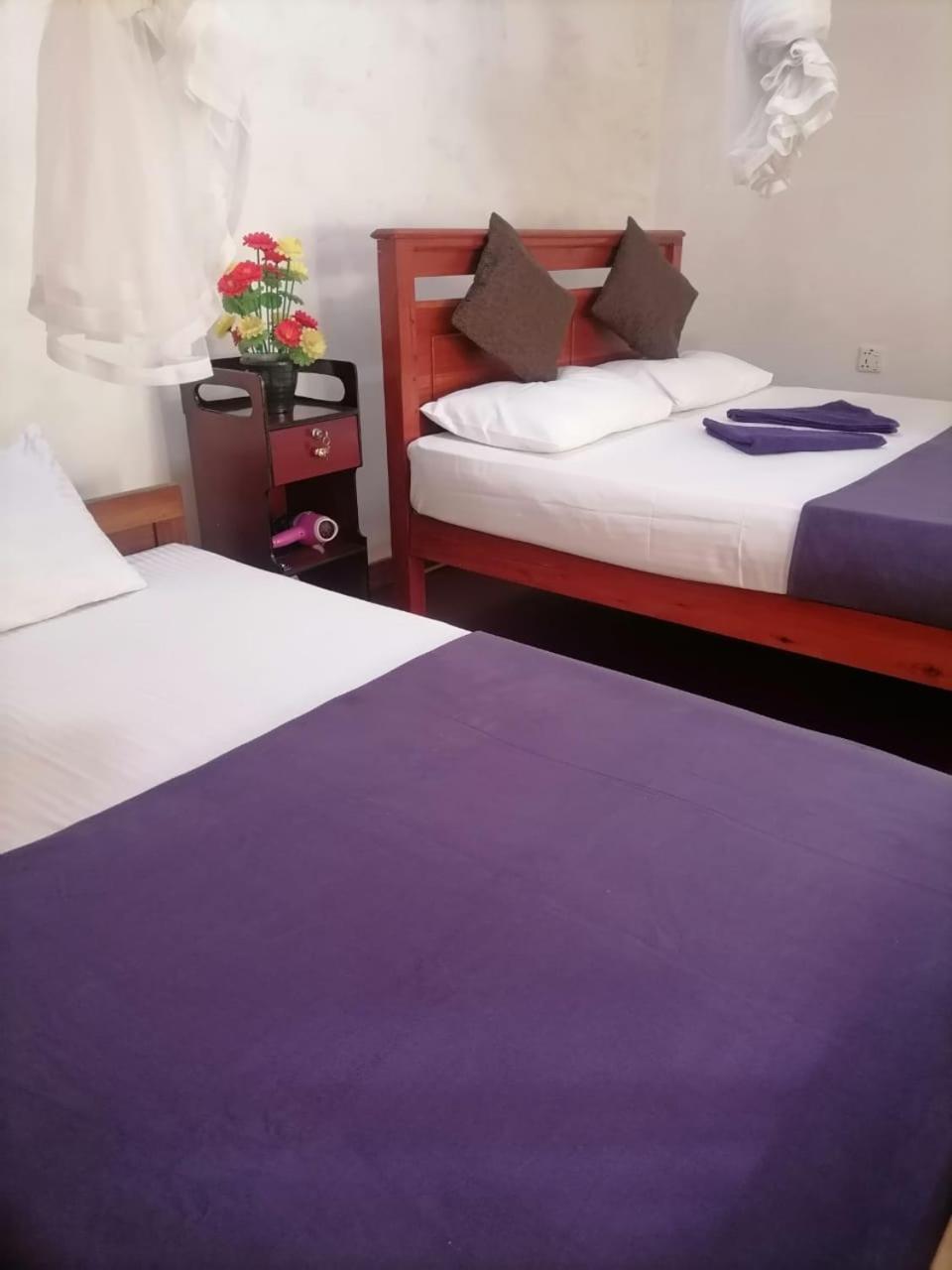 Opal Cottage Ella Εξωτερικό φωτογραφία
