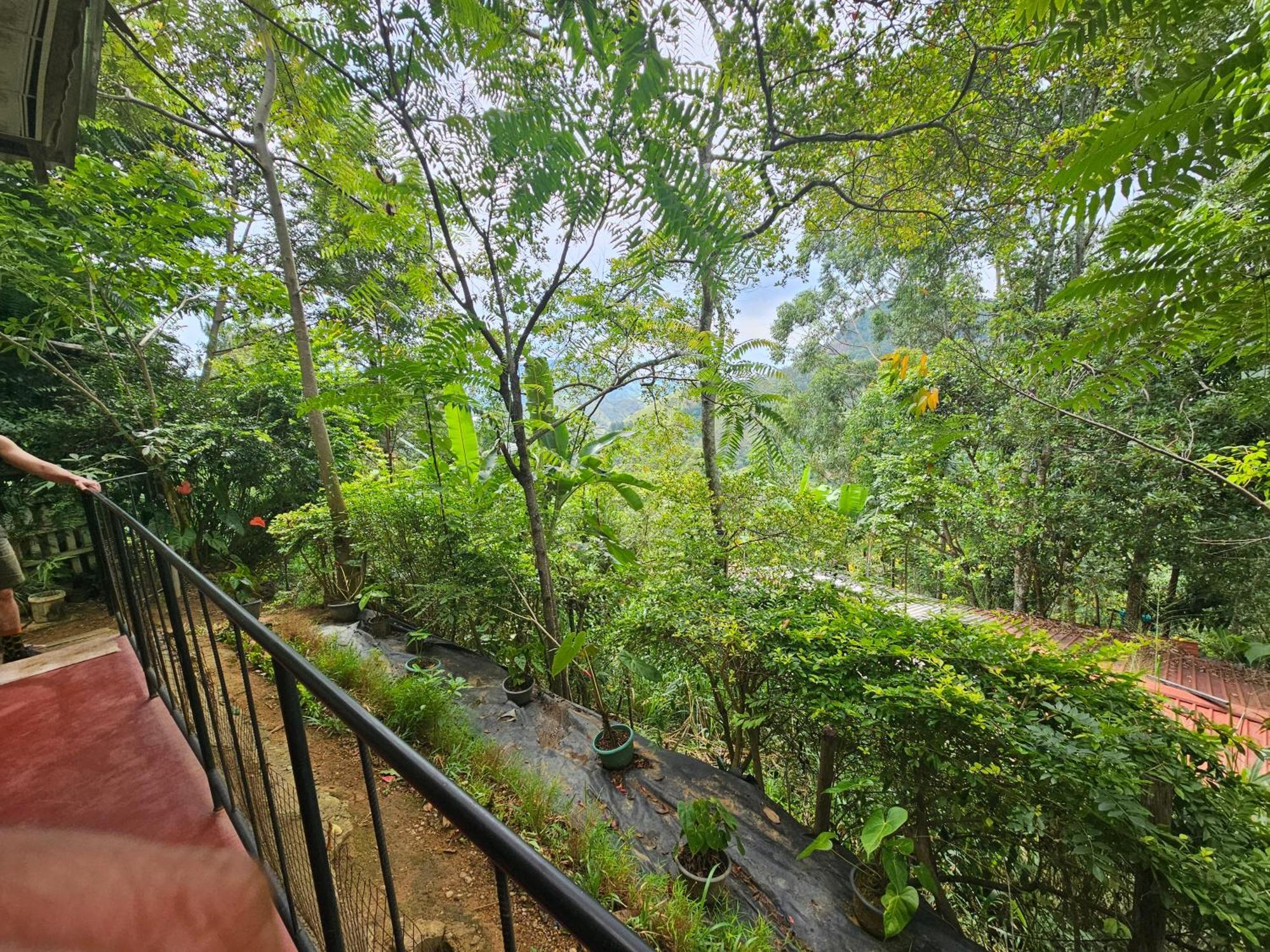 Opal Cottage Ella Εξωτερικό φωτογραφία