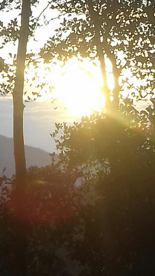 Opal Cottage Ella Εξωτερικό φωτογραφία