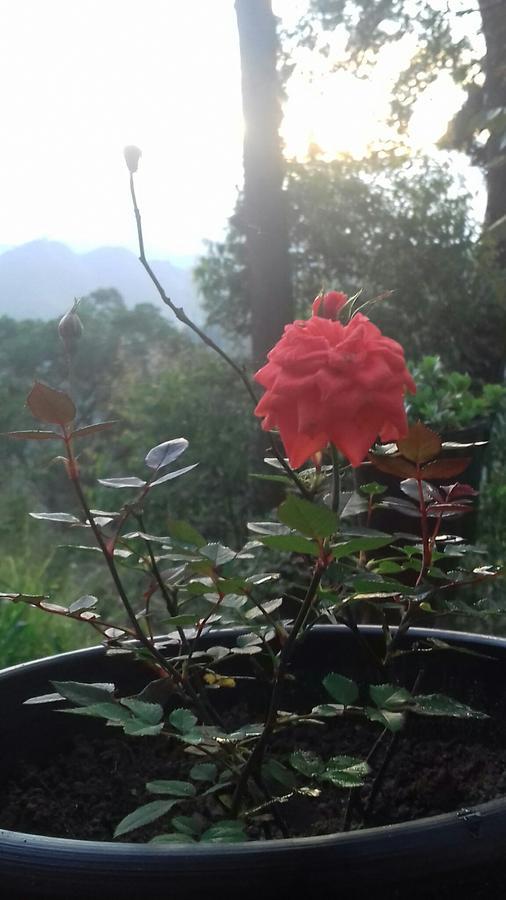 Opal Cottage Ella Εξωτερικό φωτογραφία