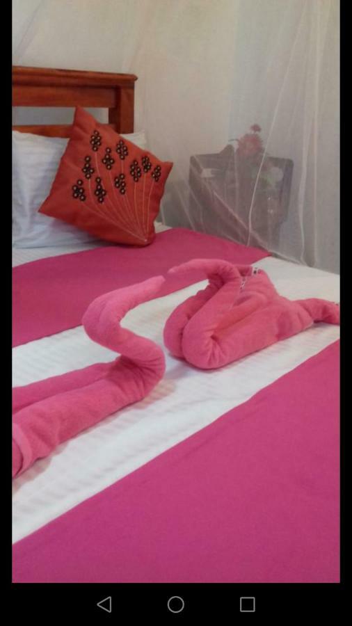 Opal Cottage Ella Εξωτερικό φωτογραφία